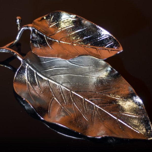 شیرینی خوری برگ