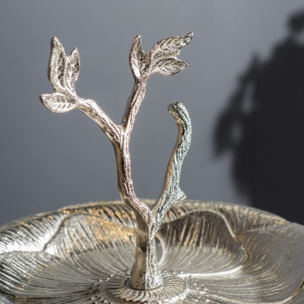 شکلات و شیرینی خوری