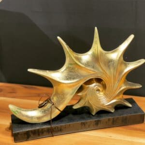 مجسمه حلزون در طراحی داخلی _گونای هوم