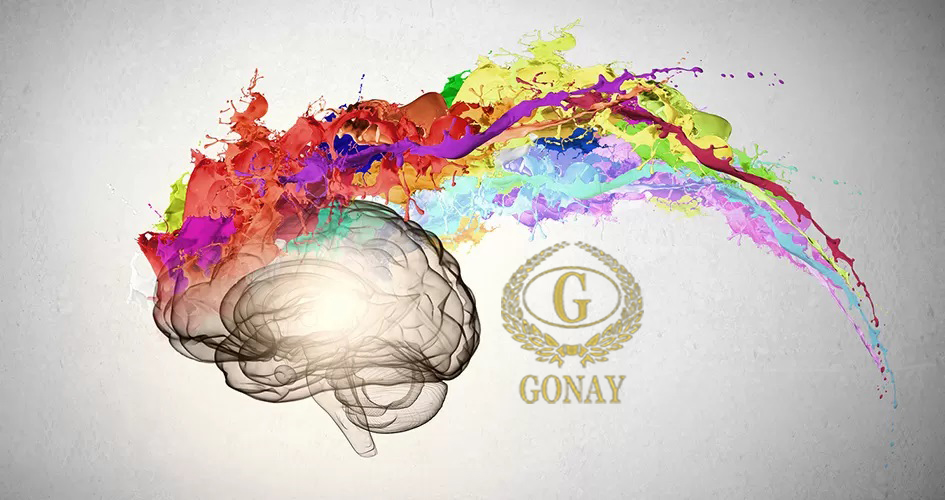 روانشناسی رنگ در طراحی داخلی - گونای هوم